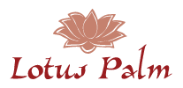 (image for) Lotus Palm